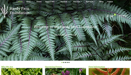 Hardy Fern Foundation
